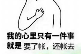 东营企业清欠服务